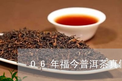 06年福今普洱茶真假/2023061803946