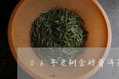 06年老树金砖普洱茶/2023061890671