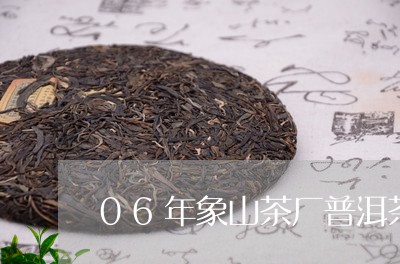 06年象山茶厂普洱茶/2023062495060