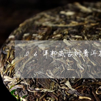 06年邦威古树普洱茶/2023062044947