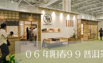 06年阳春99普洱茶/2023062404035