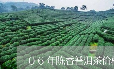 06年陈香普洱茶价格/2023093048470