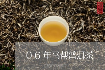 06年马帮普洱茶/2023120417148