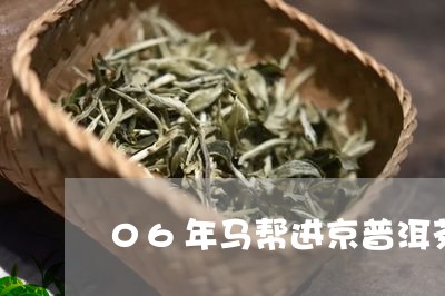 06年马帮进京普洱茶/2023080172715