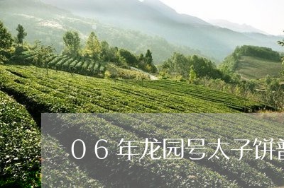 06年龙园号太子饼普洱茶/2023112861716