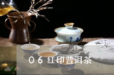 06红印普洱茶/2023082869381