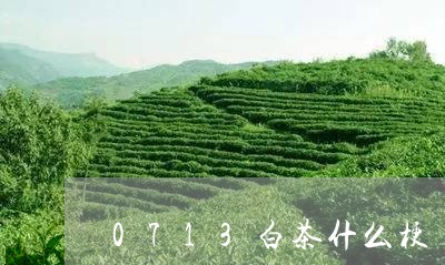 0713白茶什么梗/2023071328279