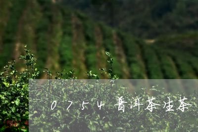 0754普洱茶生茶/2023091505250