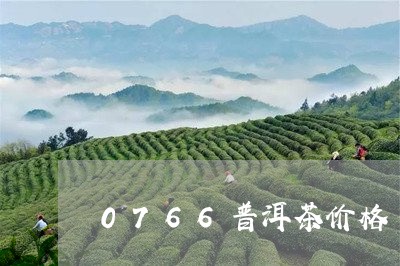 0766普洱茶价格/2023070947404