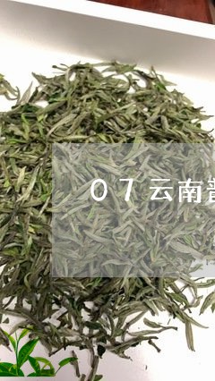 07云南普洱茶熟茶/2023091483826