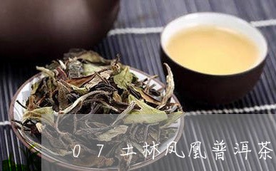 07土林凤凰普洱茶评测/2023102501737