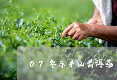 07年东半山普洱茶/2023120572703