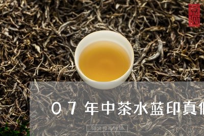 07年中茶水蓝印真假/2023060925049