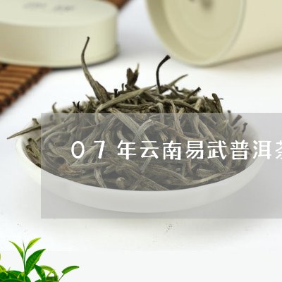 07年云南易武普洱茶/2023092949693