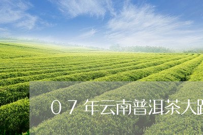 07年云南普洱茶大跌/2023100670481