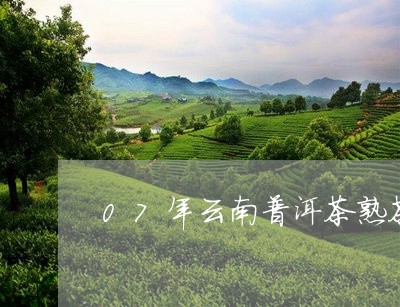 07年云南普洱茶熟茶/2023120662625