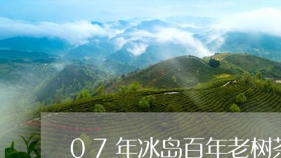 07年冰岛百年老树茶/2023092322794