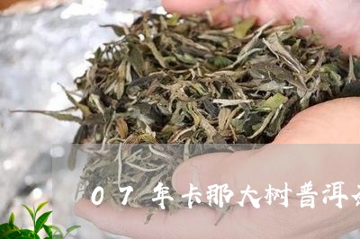 07年卡那大树普洱茶/2023062468503