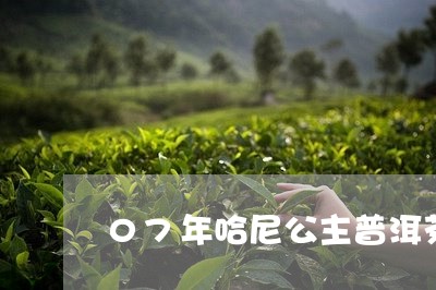 07年哈尼公主普洱茶/2023080327373