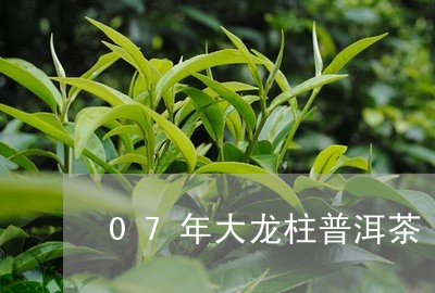 07年大龙柱普洱茶/2023101704946