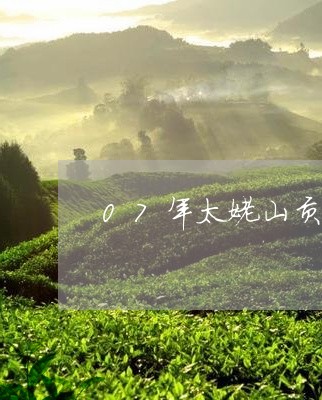 07年太姥山贡眉茶饼/2023092560618