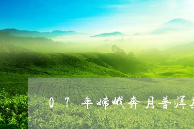 07年嫦娥奔月普洱茶/2023062248264