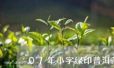 07年小字绿印普洱茶/2023093026470