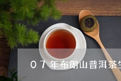 07年布朗山普洱茶生茶/2023120730715