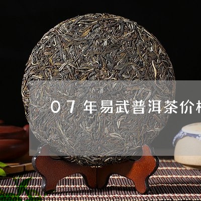 07年易武普洱茶价格多少/2023110246140