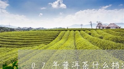 07年普洱茶什么档次/2023062959473