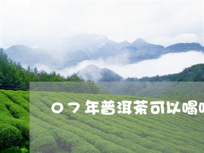 07年普洱茶可以喝吗/2023061892607