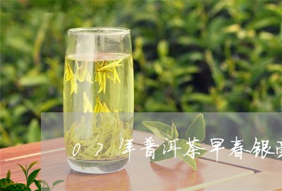 07年普洱茶早春银毫/2023062177271