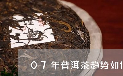 07年普洱茶趋势如何样/2023082892917