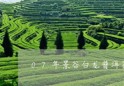 07年景谷白龙普洱茶/2023062256360