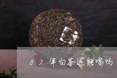 07年白茶还能喝吗/2023121362815