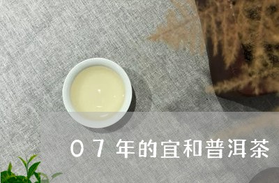 07年的宜和普洱茶/2023062346268