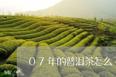 07年的普洱茶怎么了/2023092734039