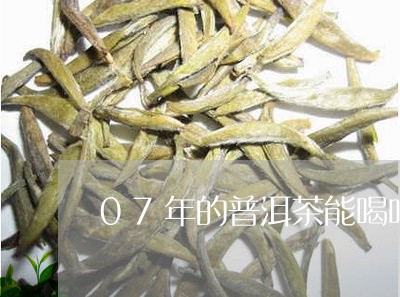 07年的普洱茶能喝吗/2023062041693