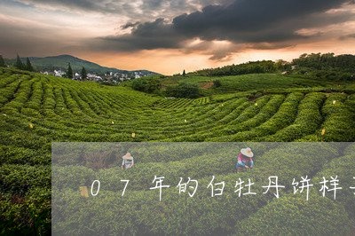 07年的白牡丹饼样子/2023120920694