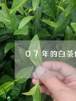 07年的白茶值钱吗/2023071311606