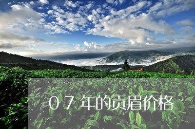 07年的贡眉价格/2023112515161