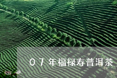 07年福禄寿普洱茶/2023112647151