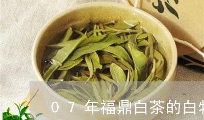 07年福鼎白茶的白牡丹/2023111662137