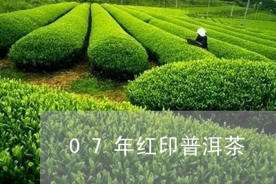 07年红印普洱茶/2023120449404