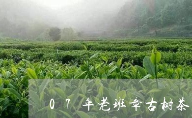 07年老班章古树茶王/2023092418151