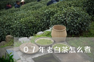 07年老白茶怎么煮/2023121397281