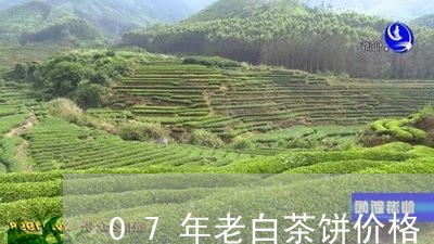 07年老白茶饼价格/2023071345150