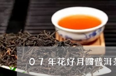 07年花好月圆普洱茶/2023100728383