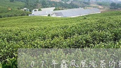 07年鑫凤凰沱茶价格/2023092035360