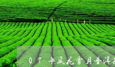 07年风花雪月普洱茶/2023062859682